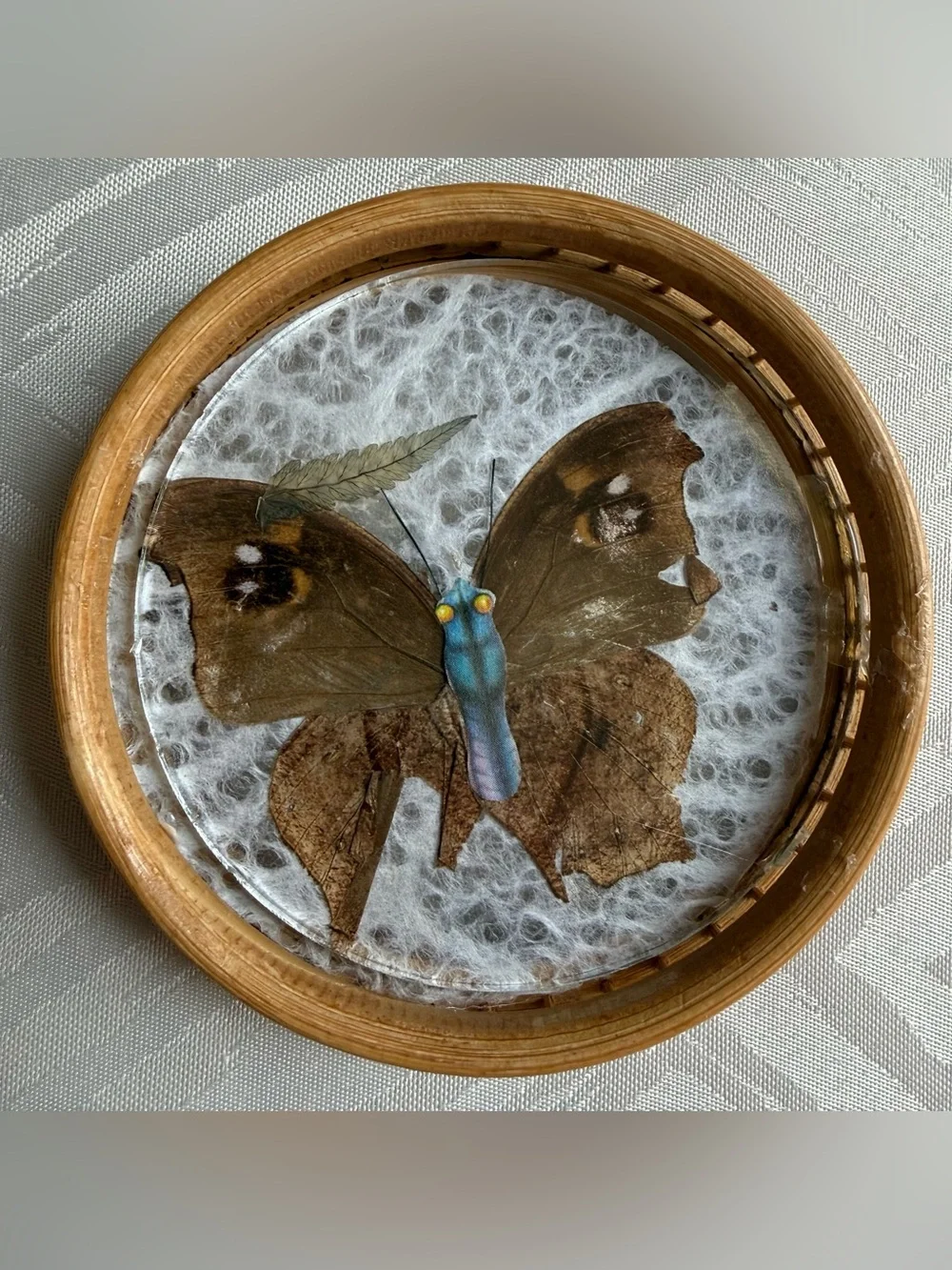 READ VTG Taxidermy Butterfly Coasters and Wicker Tray Bamboo Dried Flowers